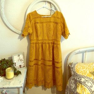 Piper & Scoot beautiful lace mustard dress, NWOT, sz XL